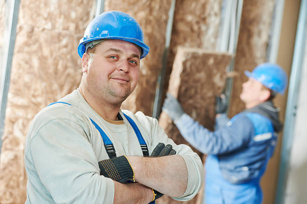 Best Spray Foam Insulation in Amboy, IL